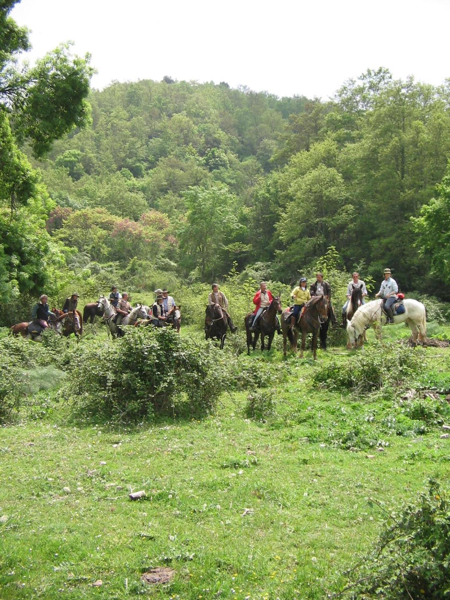 Agriturismo Casale Bonaparte Cellere المظهر الخارجي الصورة
