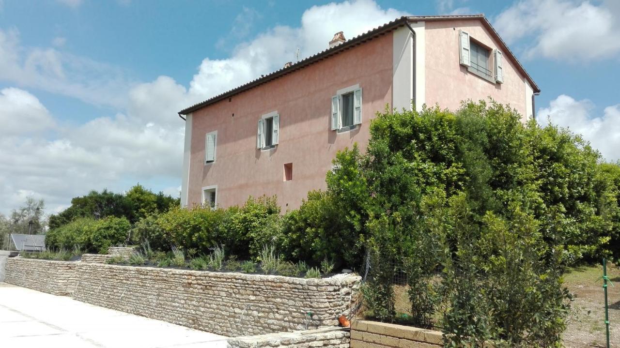 Agriturismo Casale Bonaparte Cellere المظهر الخارجي الصورة