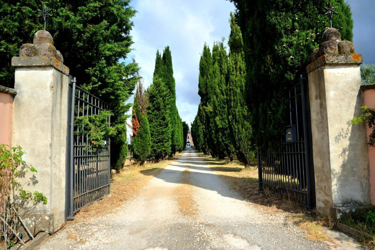 Agriturismo Casale Bonaparte Cellere المظهر الخارجي الصورة